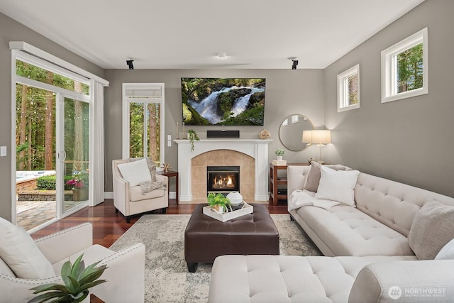 living area featuring wood finished floors and a fireplace