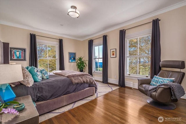 bedroom featuring multiple windows and wood finished floors