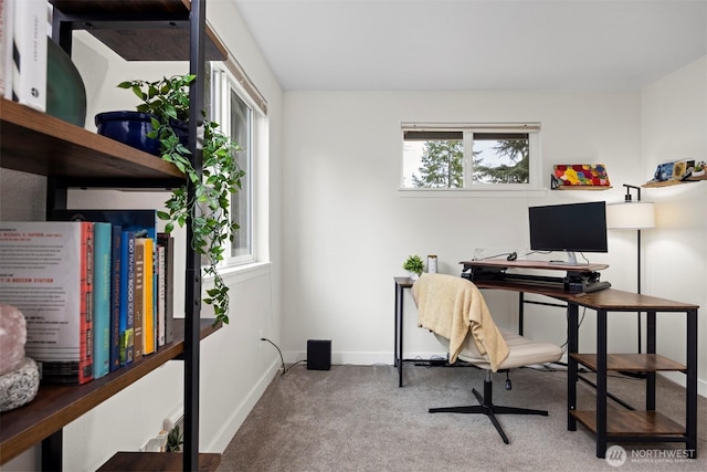 office space with baseboards and carpet floors