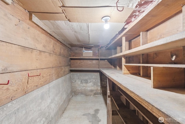 view of unfinished basement