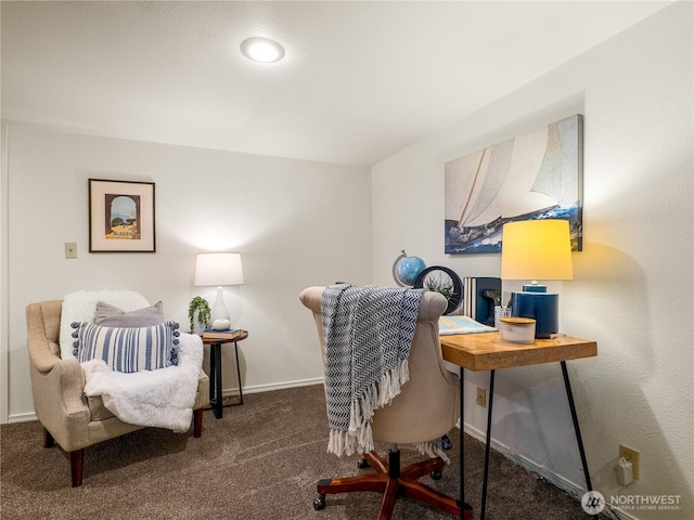 office area featuring baseboards and carpet