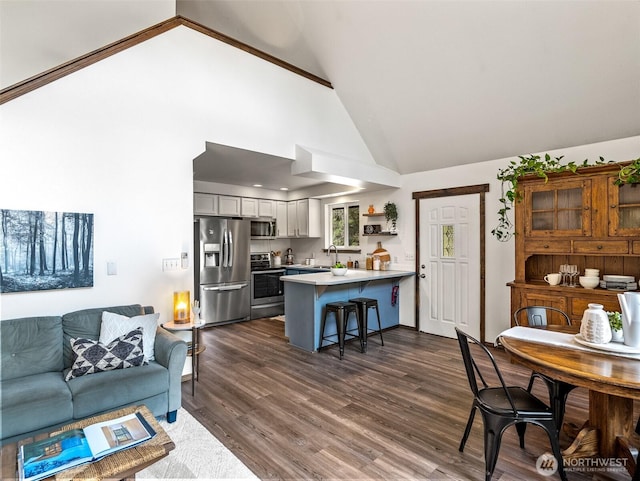 living room with high vaulted ceiling and dark wood finished floors