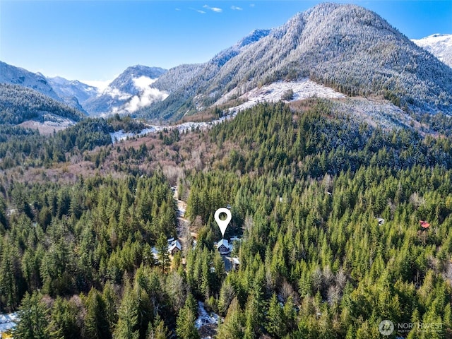 view of mountain feature featuring a forest view