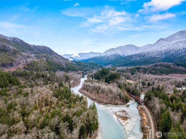 view of mountain feature featuring a view of trees and a water view