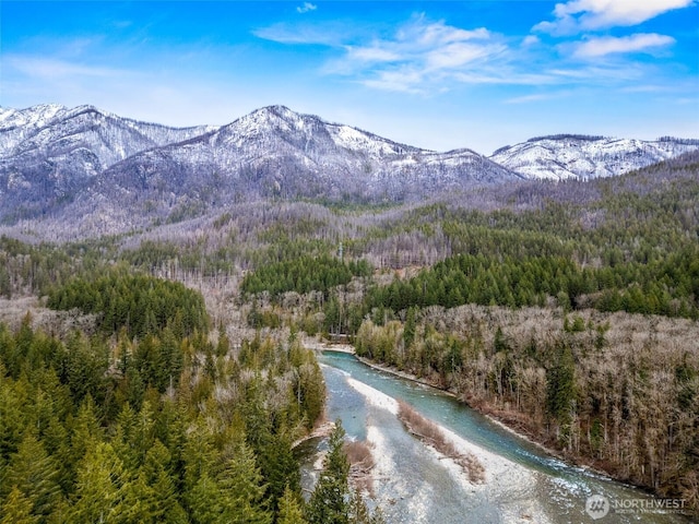 mountain view featuring a view of trees