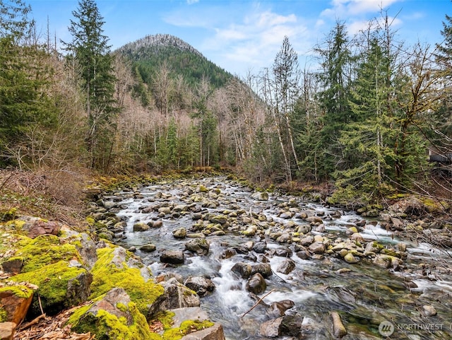 mountain view with a forest view