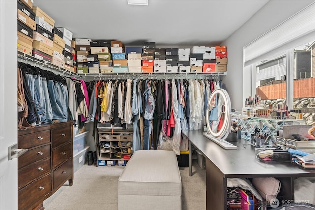 walk in closet featuring carpet floors