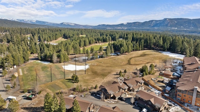 aerial view featuring a forest view and a mountain view