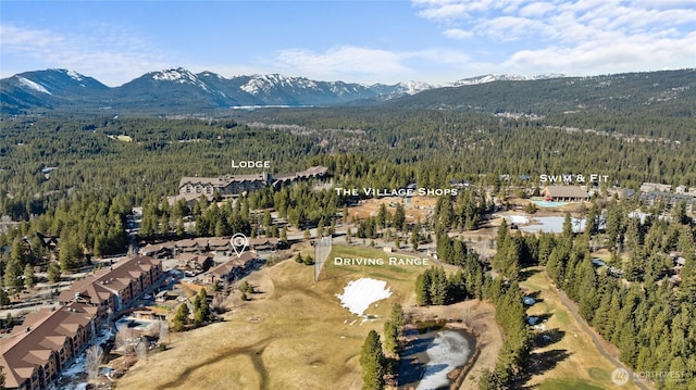 bird's eye view featuring a mountain view and a forest view