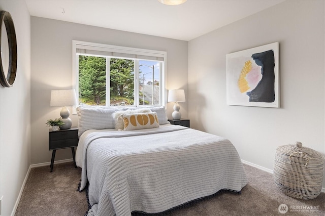 bedroom with baseboards and carpet floors