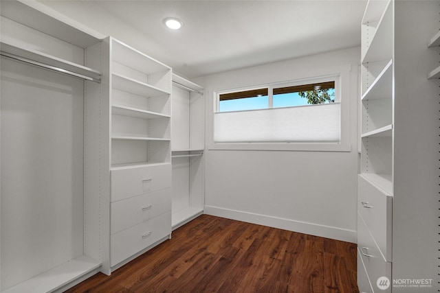 spacious closet with dark wood-style flooring