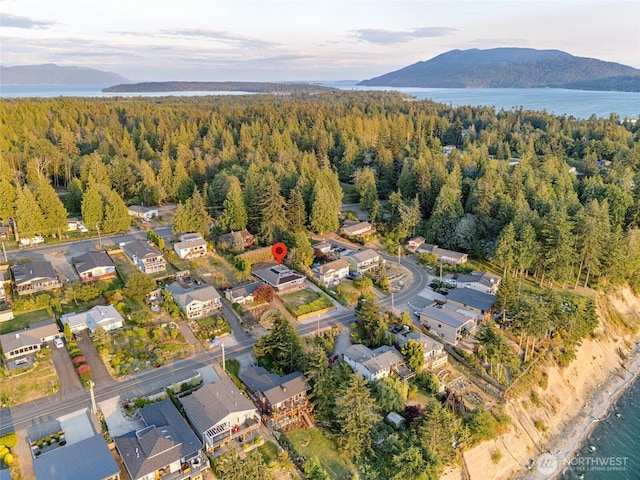 bird's eye view with a water and mountain view and a wooded view