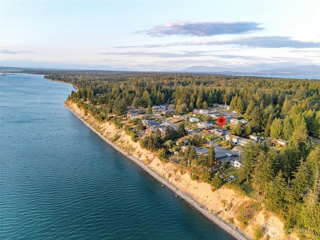 drone / aerial view with a forest view and a water view