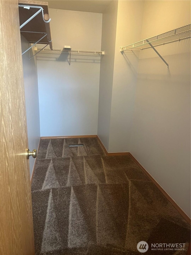 walk in closet featuring carpet