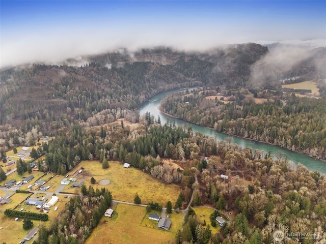 aerial view featuring a view of trees and a water view