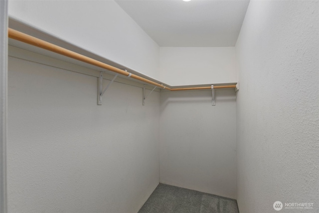 spacious closet with carpet