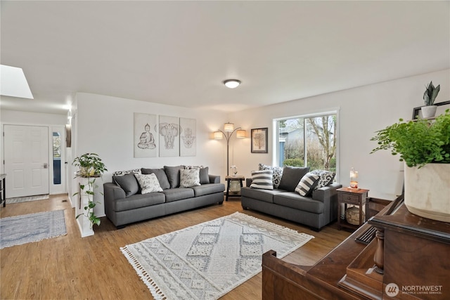 living room featuring a skylight and wood finished floors