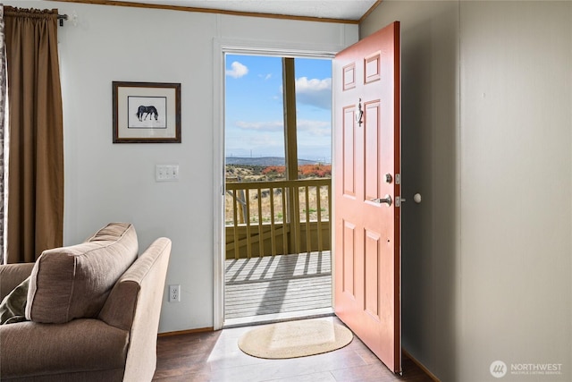 foyer with a healthy amount of sunlight and baseboards