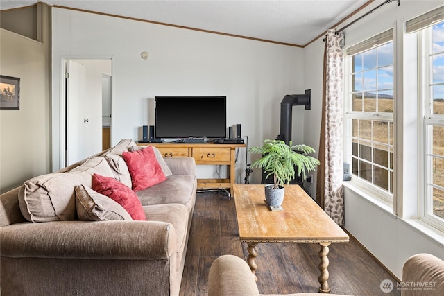 living room with a wood stove, dark wood-style floors, and ornamental molding