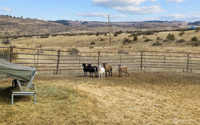 view of yard featuring a rural view and fence