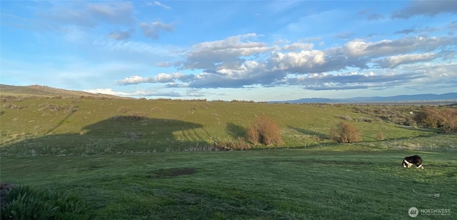 property view of mountains with a rural view