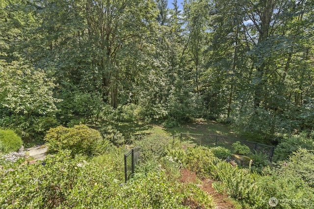 view of local wilderness featuring a view of trees