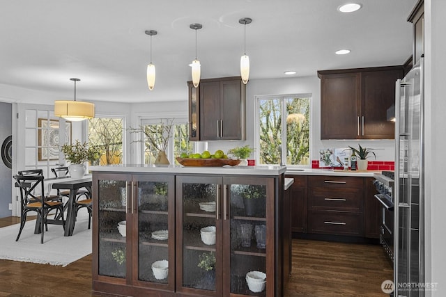 kitchen featuring dark brown cabinetry, a healthy amount of sunlight, dark wood-style floors, and light countertops