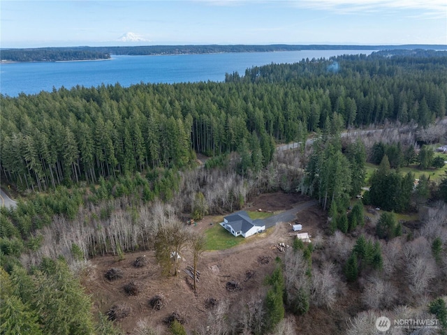 drone / aerial view with a water view and a view of trees