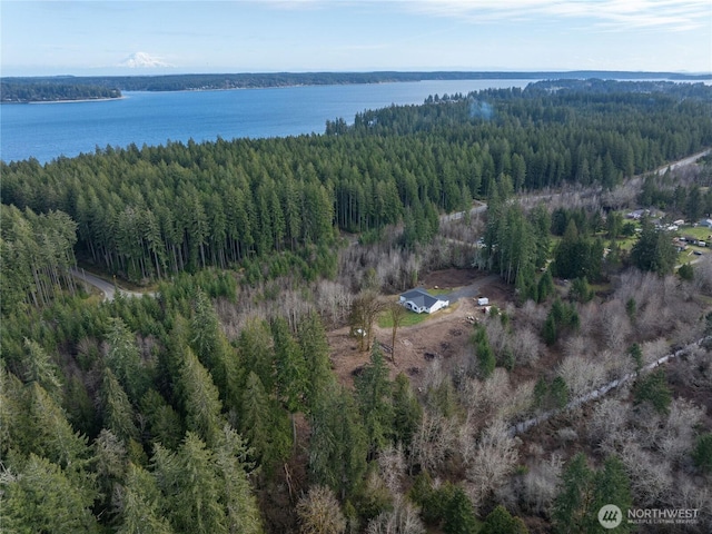 birds eye view of property featuring a water view and a view of trees