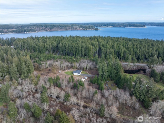 bird's eye view with a water view and a wooded view