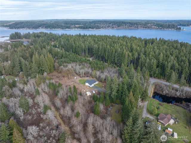 bird's eye view featuring a water view and a forest view