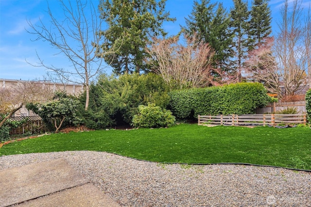 view of yard with fence