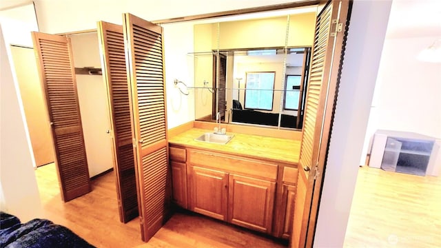 bathroom featuring wood finished floors and a sink