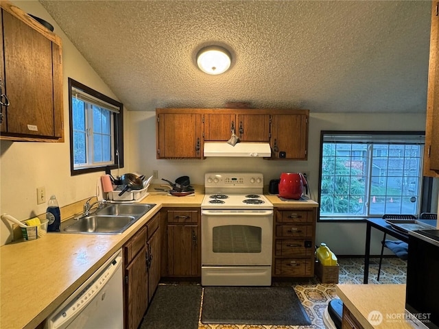 kitchen with white appliances, light countertops, under cabinet range hood, and a sink