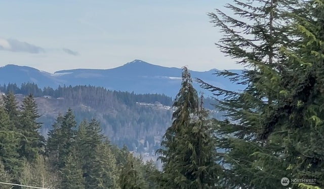 view of mountain feature with a wooded view