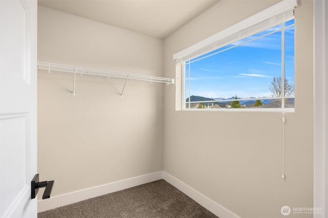 spacious closet with dark carpet