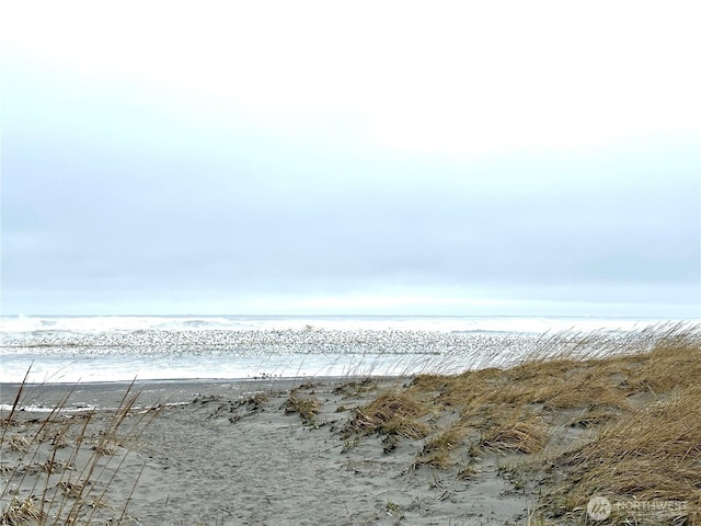 view of water feature featuring a view of the beach