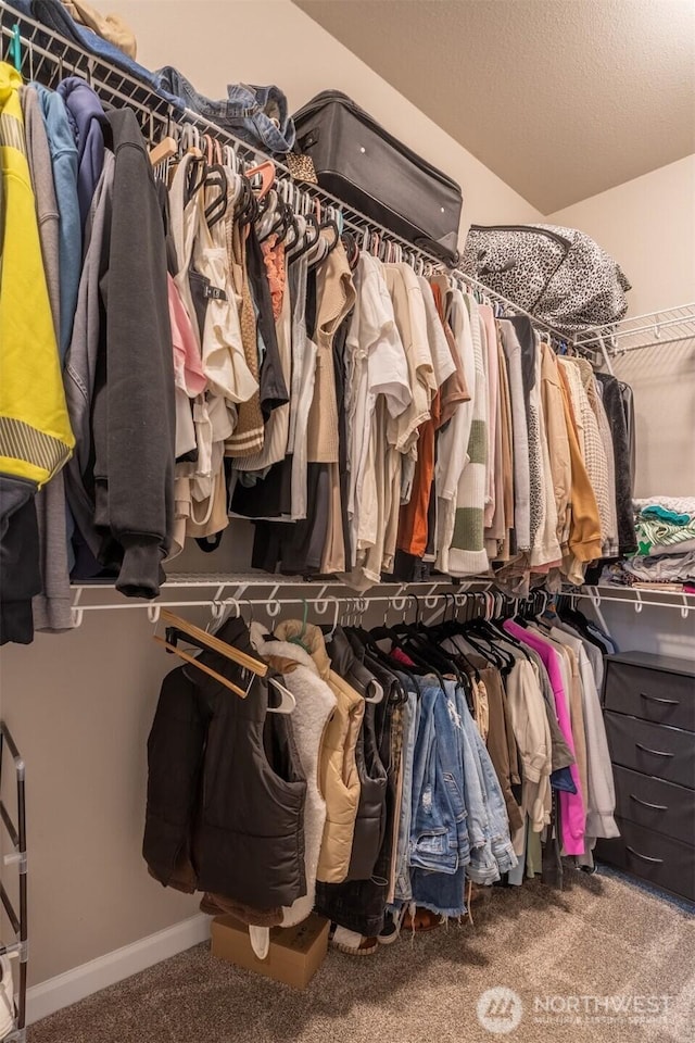 spacious closet featuring carpet