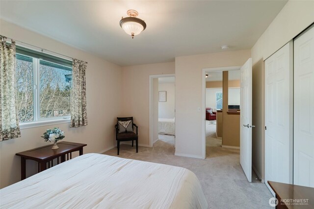 bedroom with baseboards, multiple windows, and light colored carpet