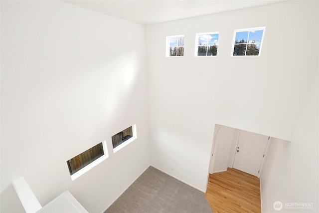 laundry area featuring wood finished floors