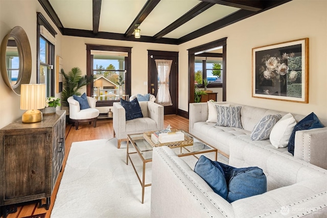 living room featuring light wood-type flooring, plenty of natural light, and beam ceiling