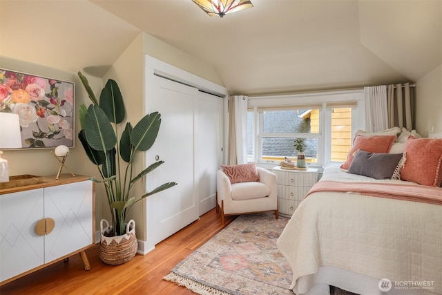 bedroom featuring vaulted ceiling, wood finished floors, and a closet