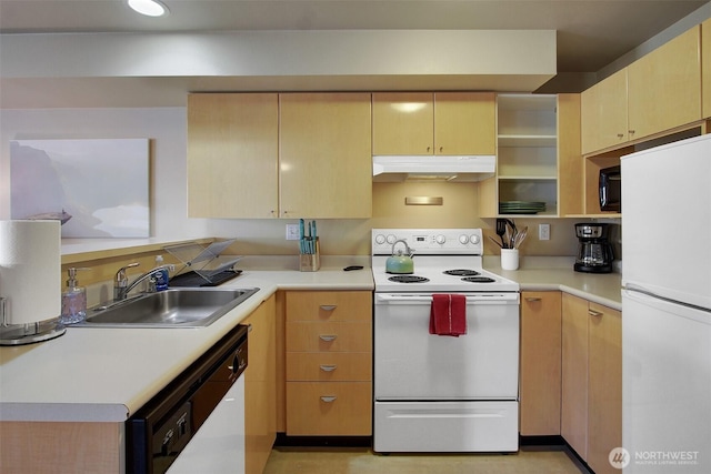 kitchen featuring under cabinet range hood, light brown cabinetry, light countertops, white appliances, and a sink