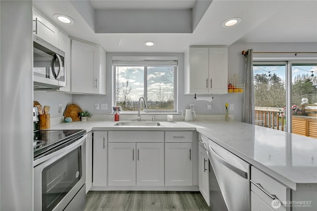 kitchen featuring a sink, a tray ceiling, a wealth of natural light, and stainless steel appliances