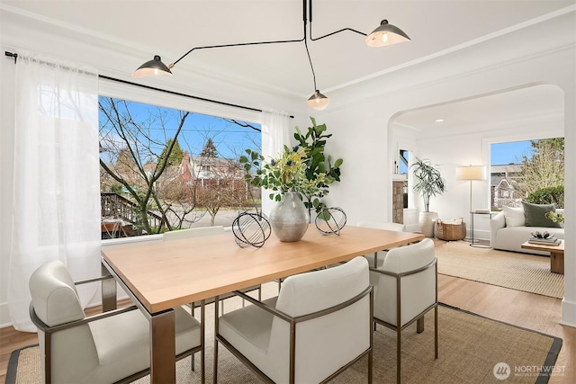 dining room featuring wood finished floors, arched walkways, and a wealth of natural light