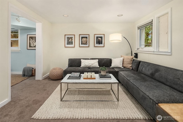 living area with baseboards and carpet floors