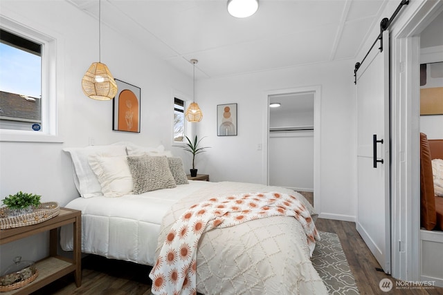 bedroom with dark wood-style floors, a closet, a walk in closet, and a barn door