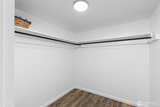 walk in closet with dark wood-style flooring