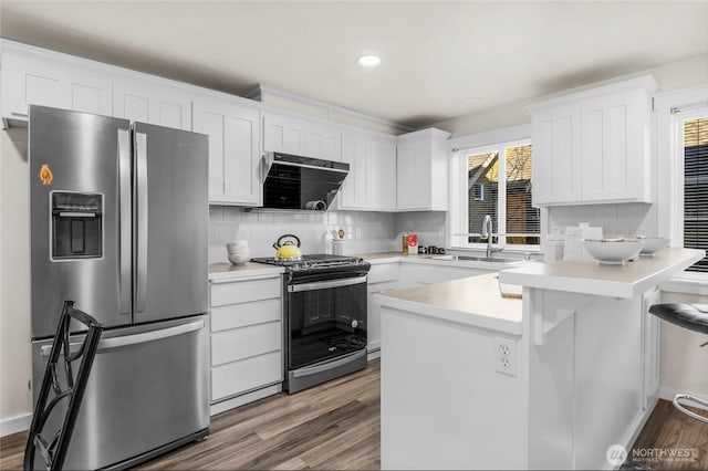 kitchen with a sink, backsplash, white cabinetry, ventilation hood, and stainless steel appliances