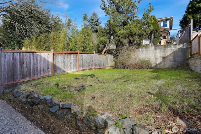 view of yard featuring a fenced backyard